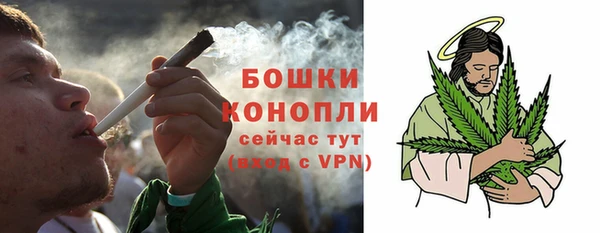 apvp Верея
