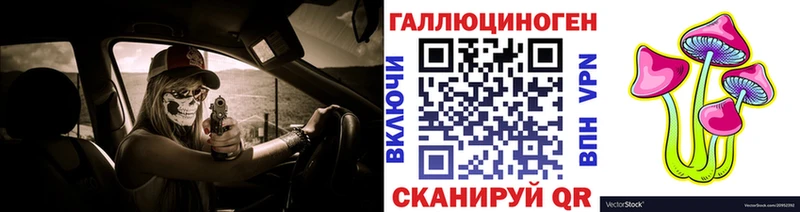 blacksprut ССЫЛКА  Курган  Галлюциногенные грибы Psilocybe 